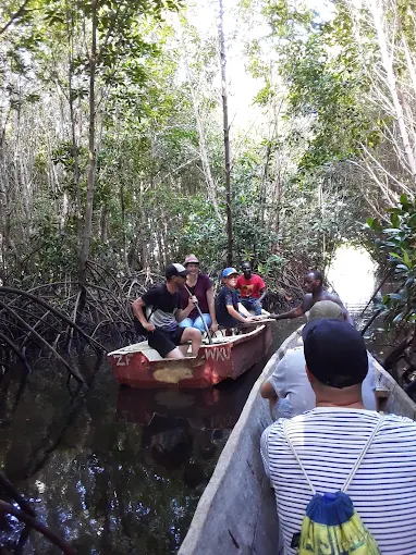 Muungoni Mangrove trip
