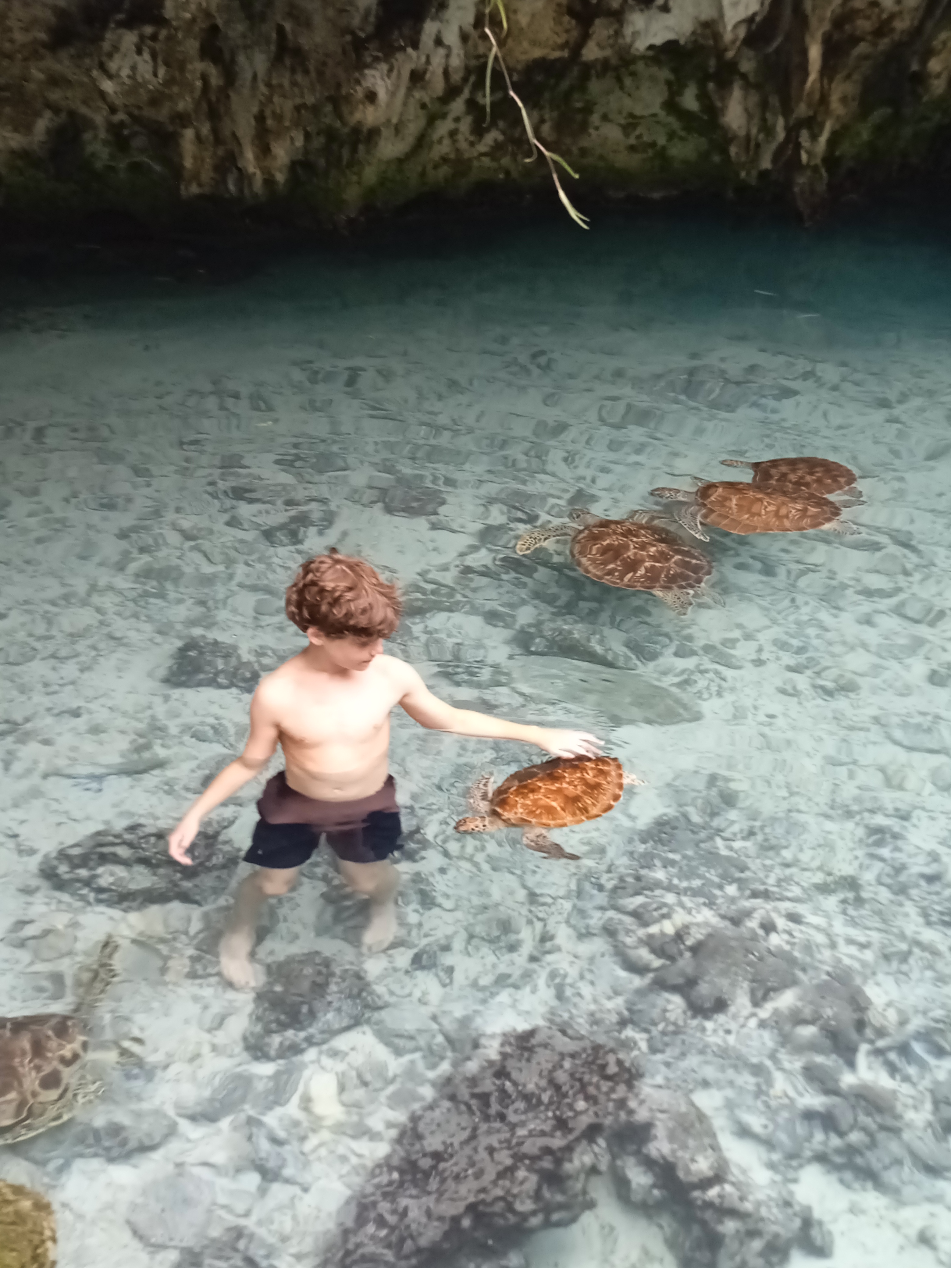 Salaam Aquarium