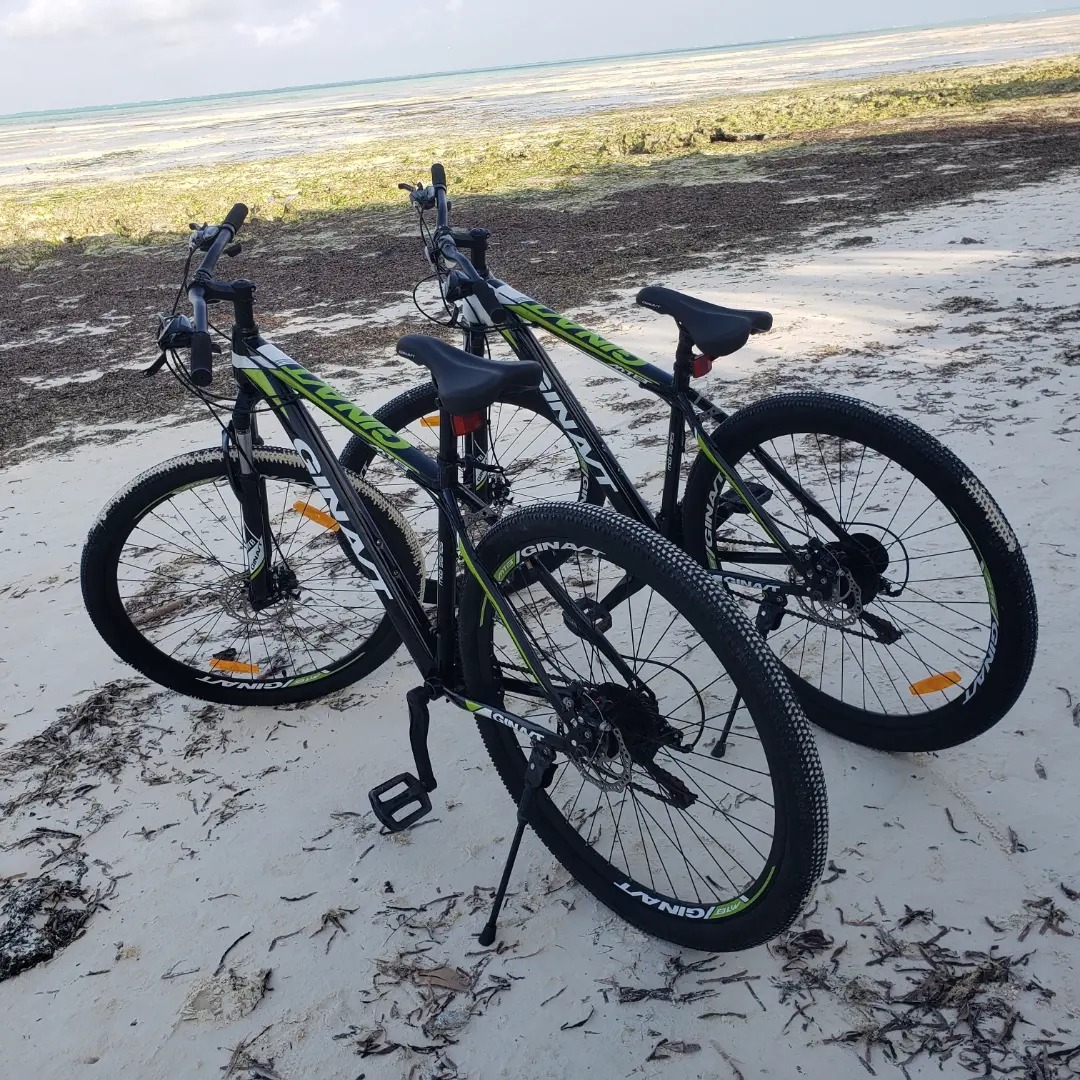 Zanzibar Bicycle Rental