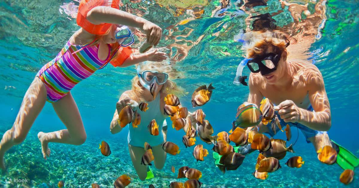 Mnemba Island Snorkeling trip