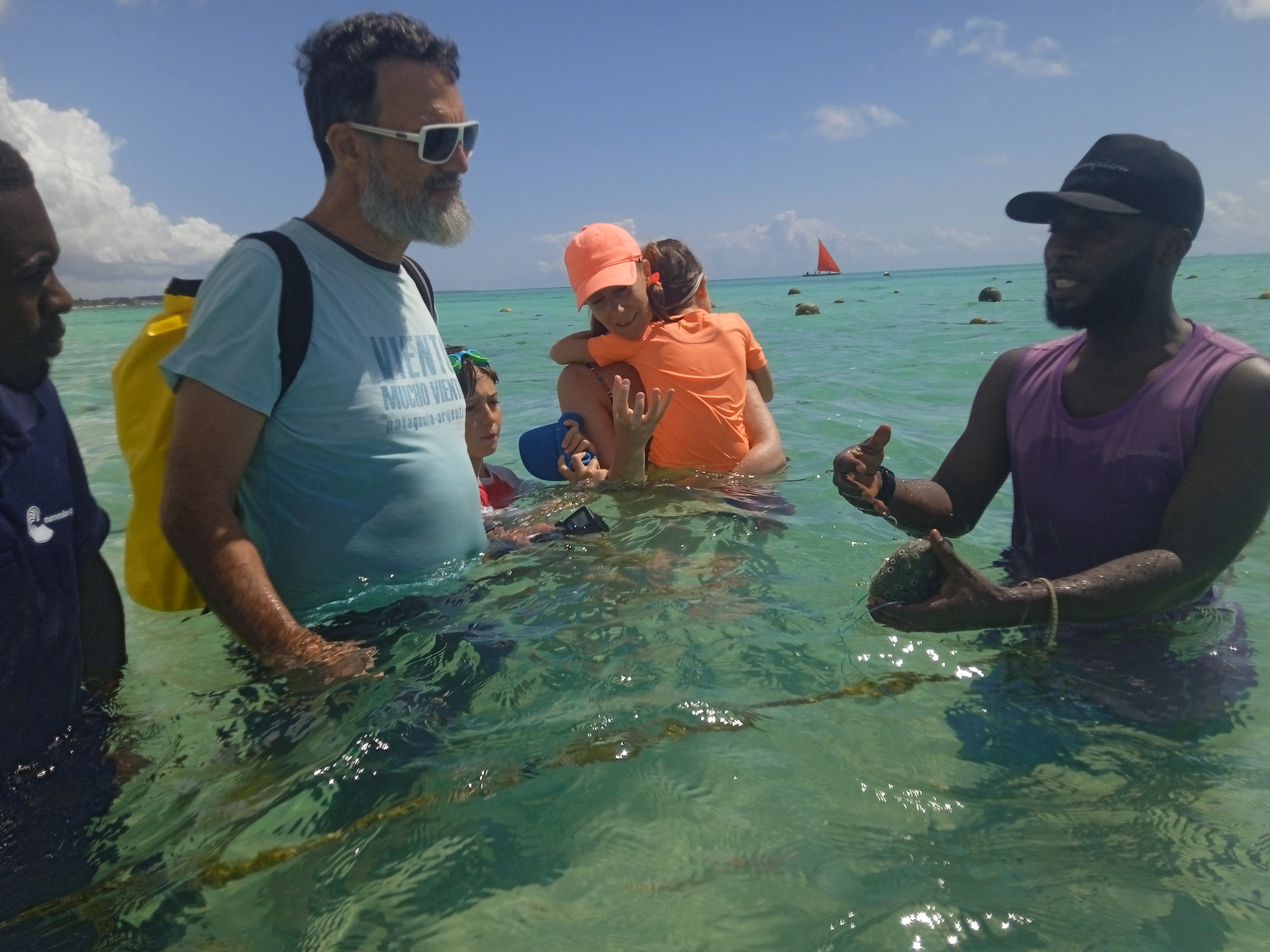 Sponge Farm Tour