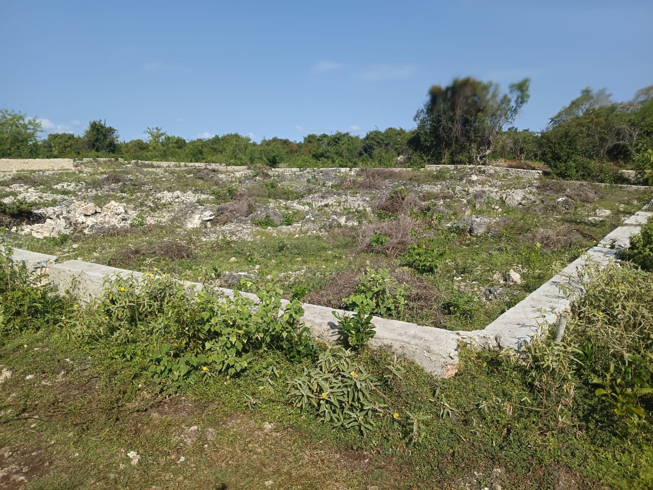 Affordable Residential Plot for Sale in Jambiani, Zanzibar