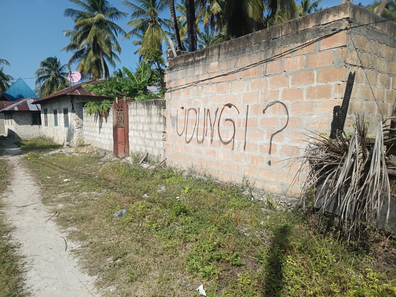 Build Your Dream Home in Jambiani – Spacious Plot Just 5 Minutes from the Beach