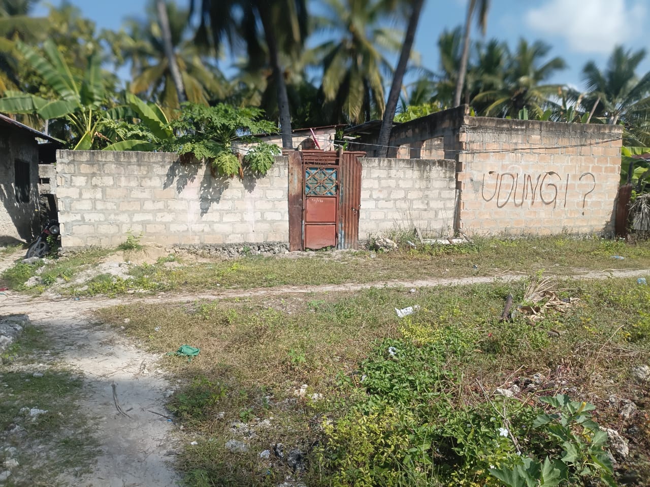 Build Your Dream Home in Jambiani – Spacious Plot Just 5 Minutes from the Beach