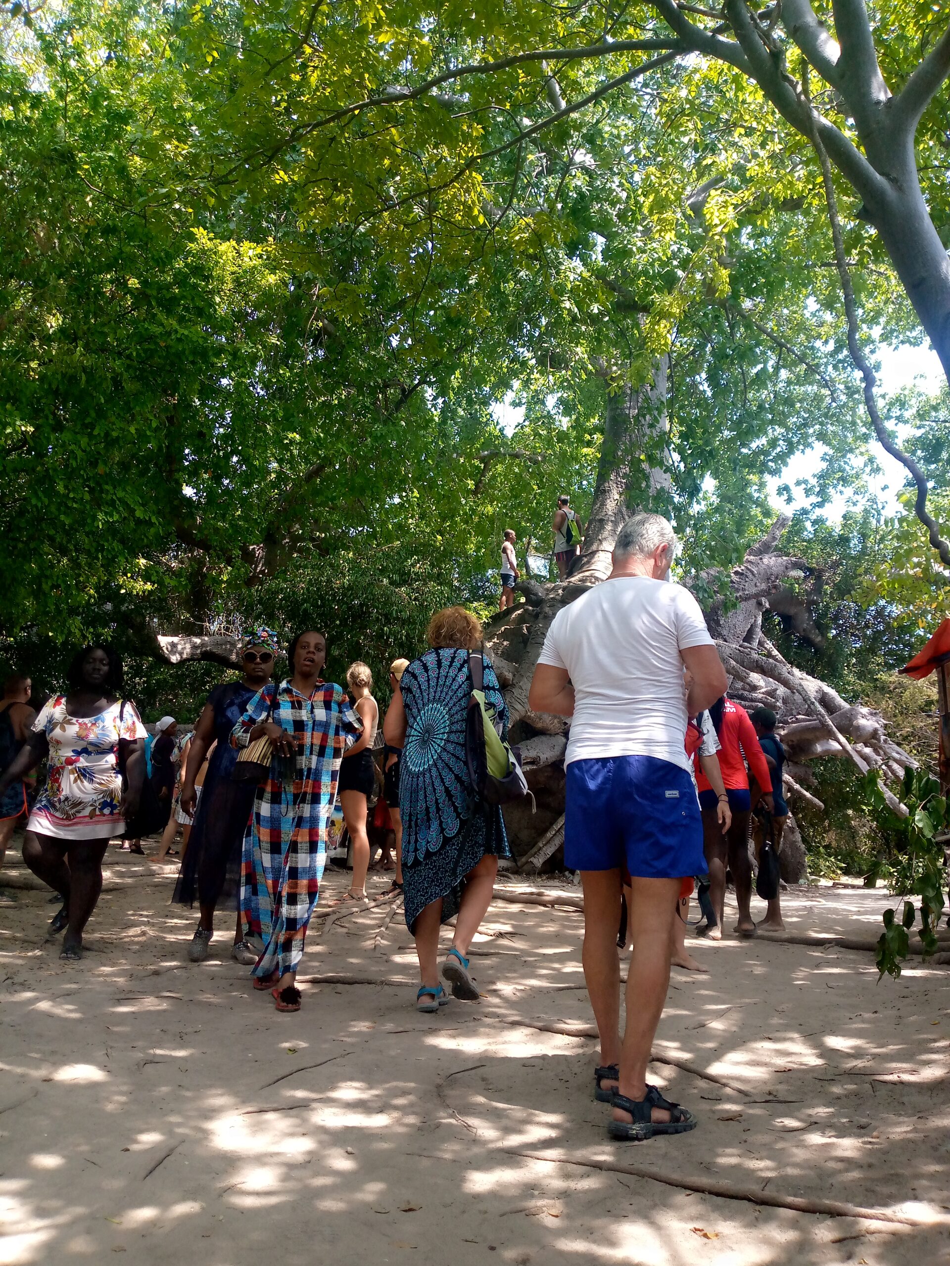 activities in zanzibar