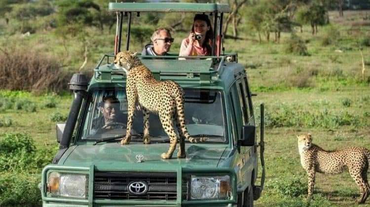 2 Days 1 Night to Selous Nationa Park from Zanzibar